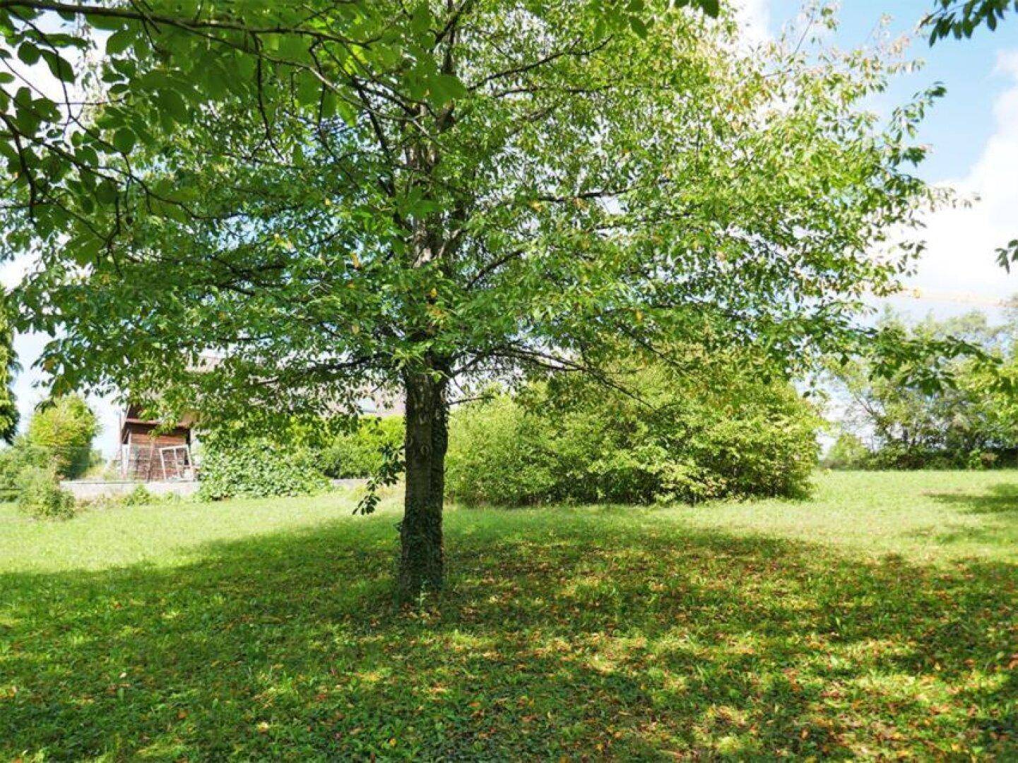 Baugrundstück in idyllischer Lage auf leichtem Südhang in Tulln-Nähe - Ansicht 6