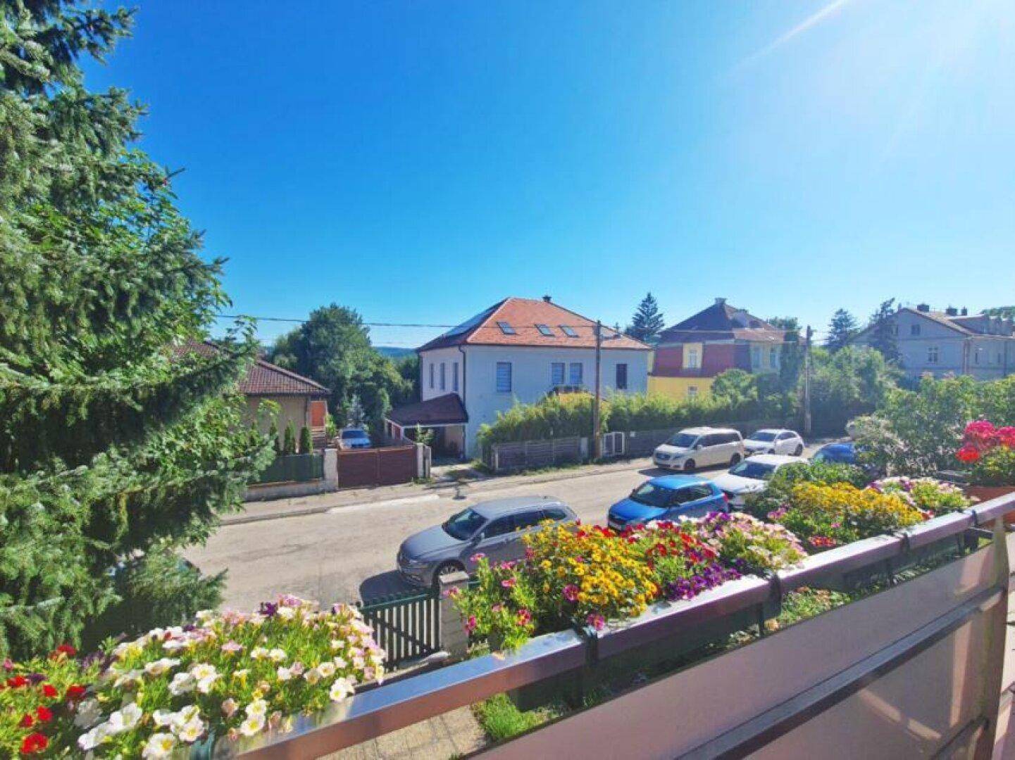 Südterrasse Ausblick