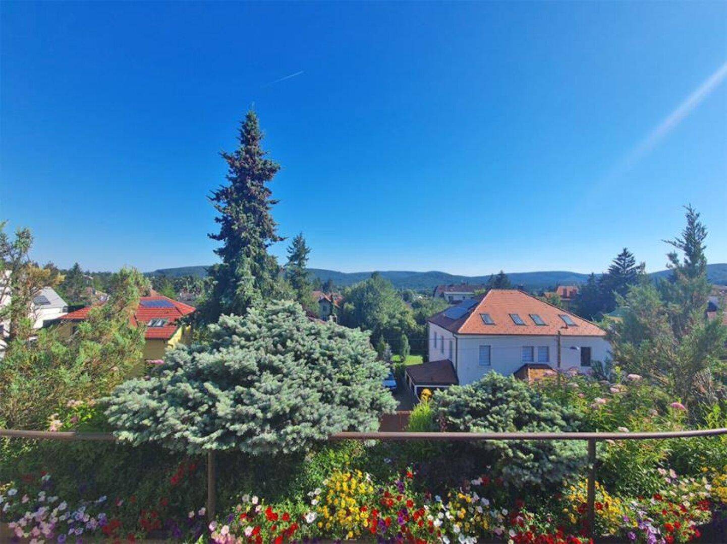 Dachterrasse Ausblick