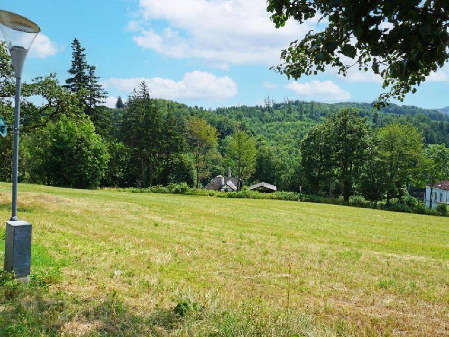 Weitläufige grüne Wiese mit einem Laternenpfahl im Vordergrund und bewaldeten Hügeln im Hintergrund unter blauem Himmel.