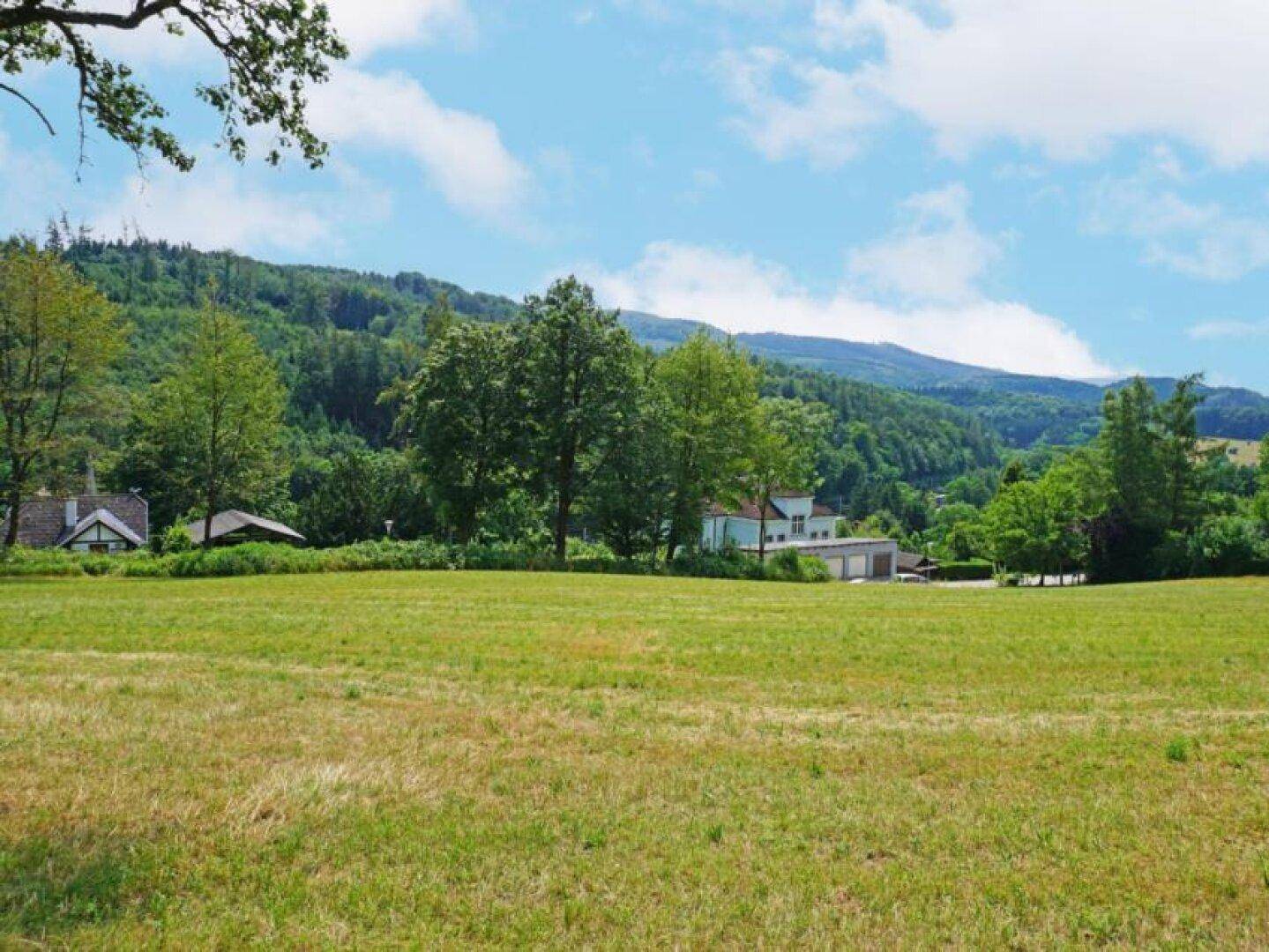 Panoramablick über eine weite grüne Wiese mit vereinzelten Häusern und einer beeindruckenden Berglandschaft im Hintergrund.