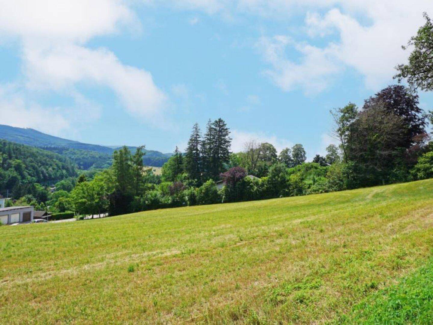 Grüne Wiesenlandschaft mit sanfter Steigung, umgeben von Bäumen und einem weiten Blick in die Natur.