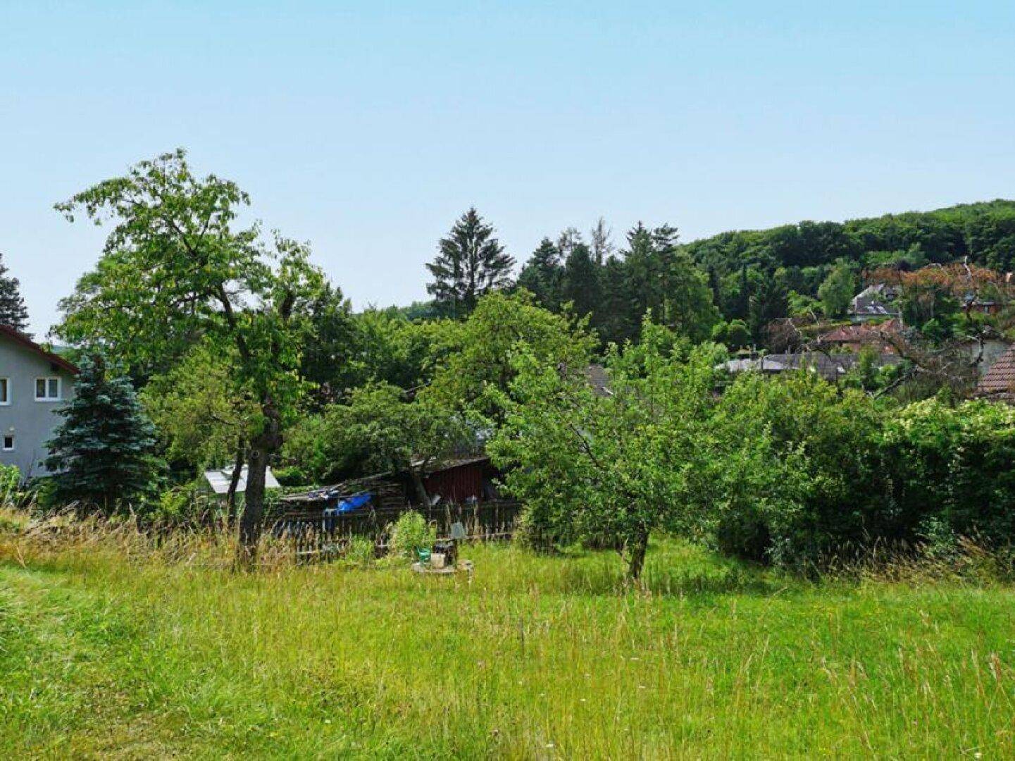 Südlich ausgerichteter Baugrund in Grünruhelage im äußersten Westen - Ansicht 3