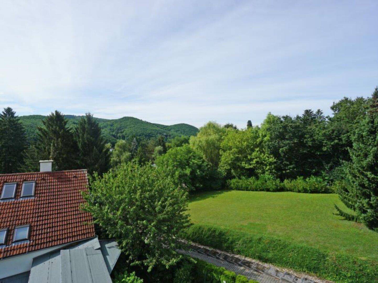 DG_Wintergarten_Ausblick