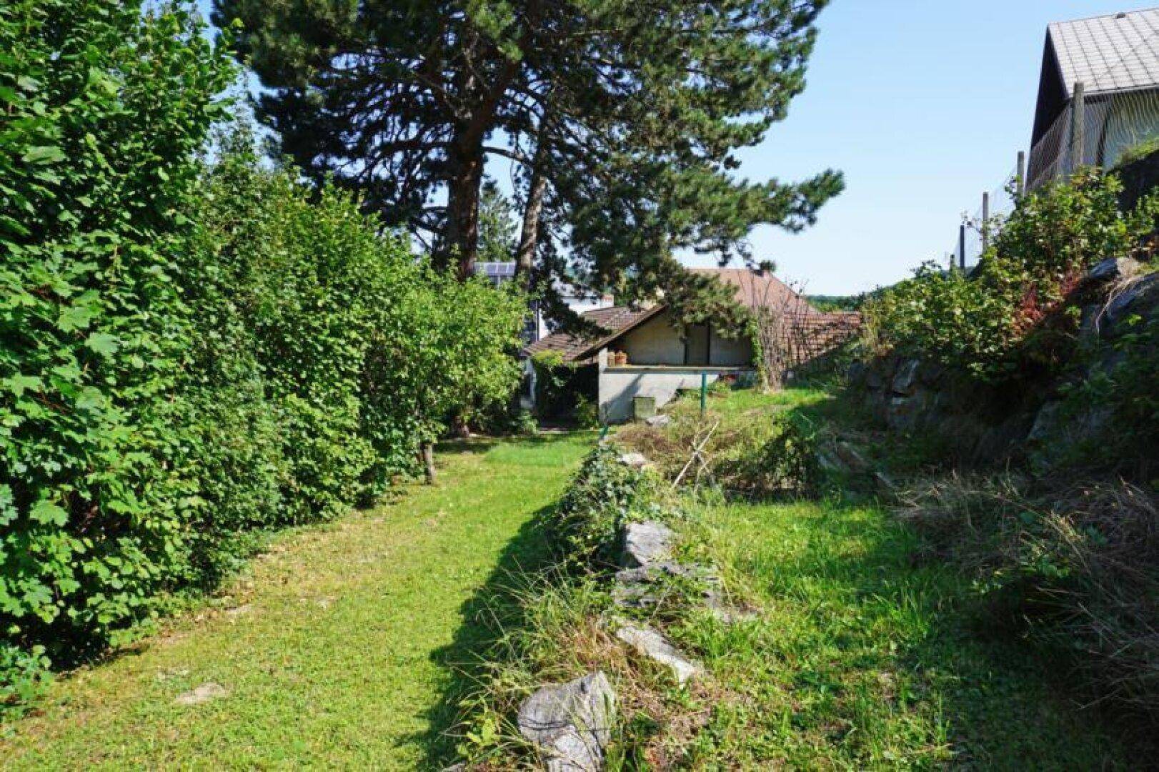 Langer, schmaler Gartenbereich mit Rasen, Steinmauer und hohen Bäumen im Hintergrund.
