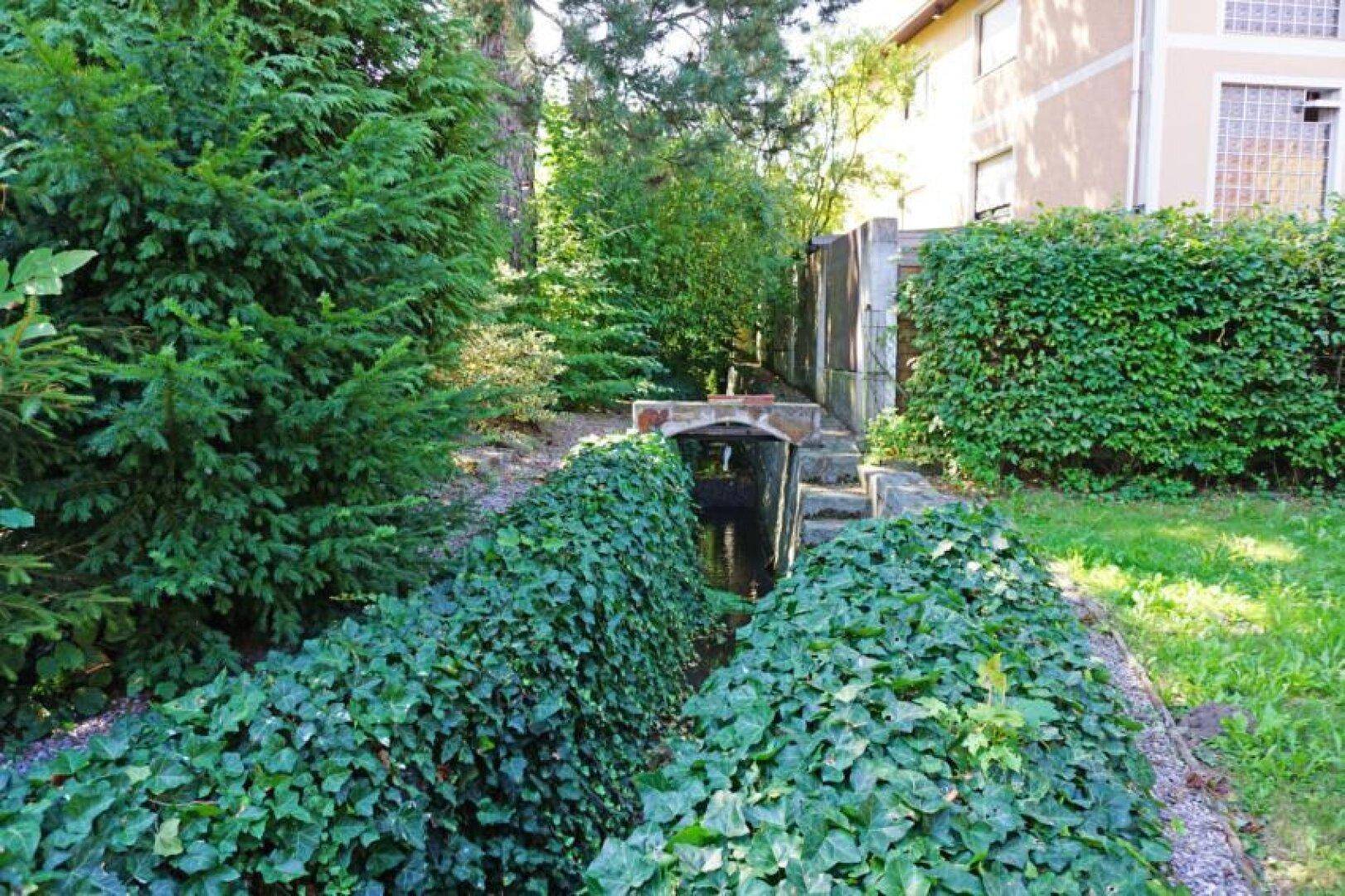 Kleiner Bachlauf mit üppiger Vegetation und Brücke, umgeben von Bäumen und Sträuchern.