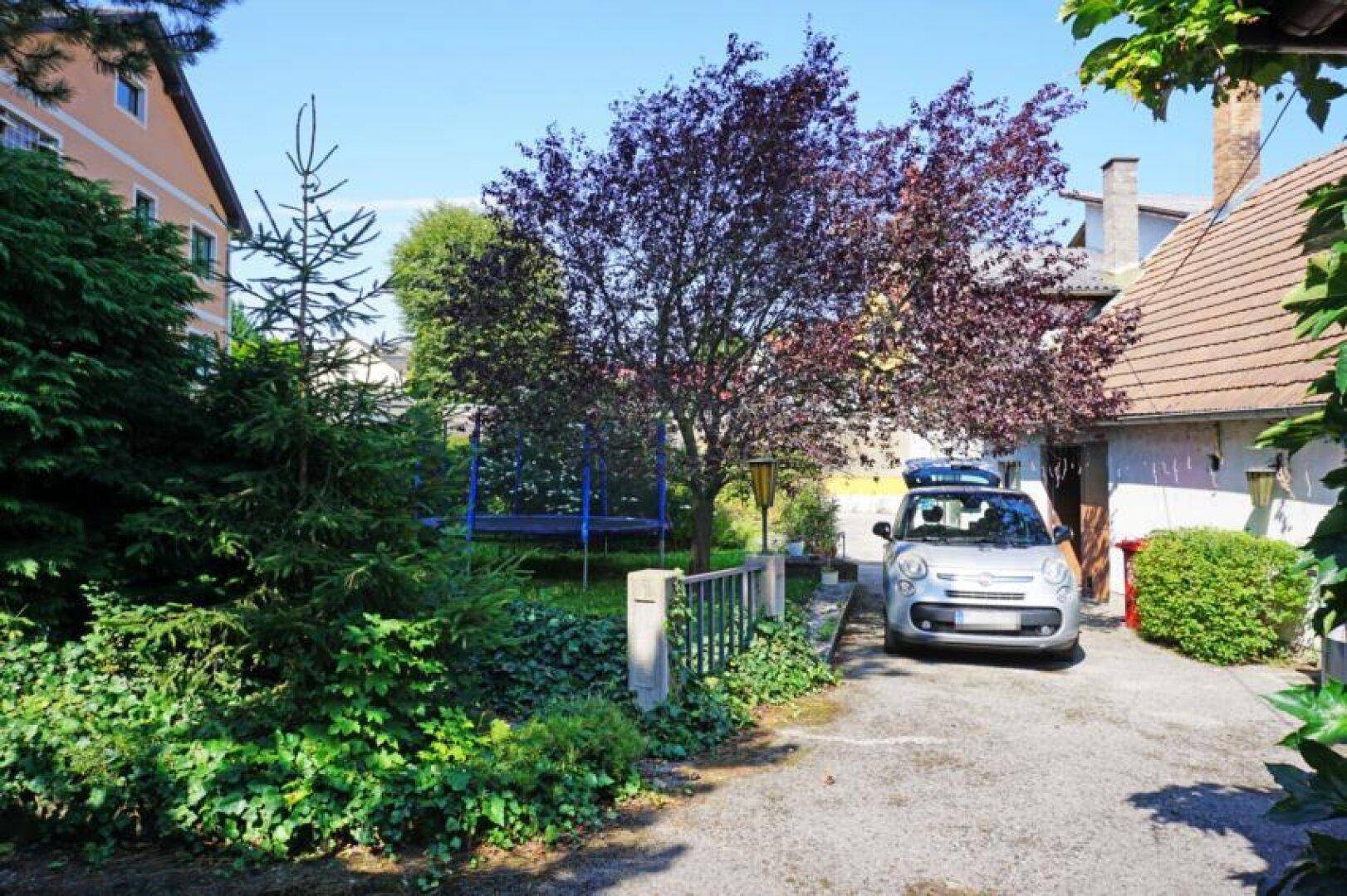 Auffahrt mit parkendem Auto, umgeben von Bäumen und Sträuchern im Gartenbereich.
