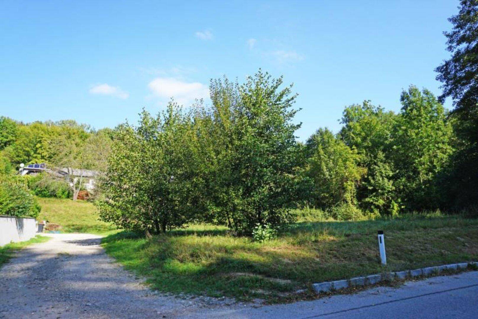 Baugrundstück auf Südhang in traumhafter Grünruhelage in der Kaiserbrunn – pohled 2