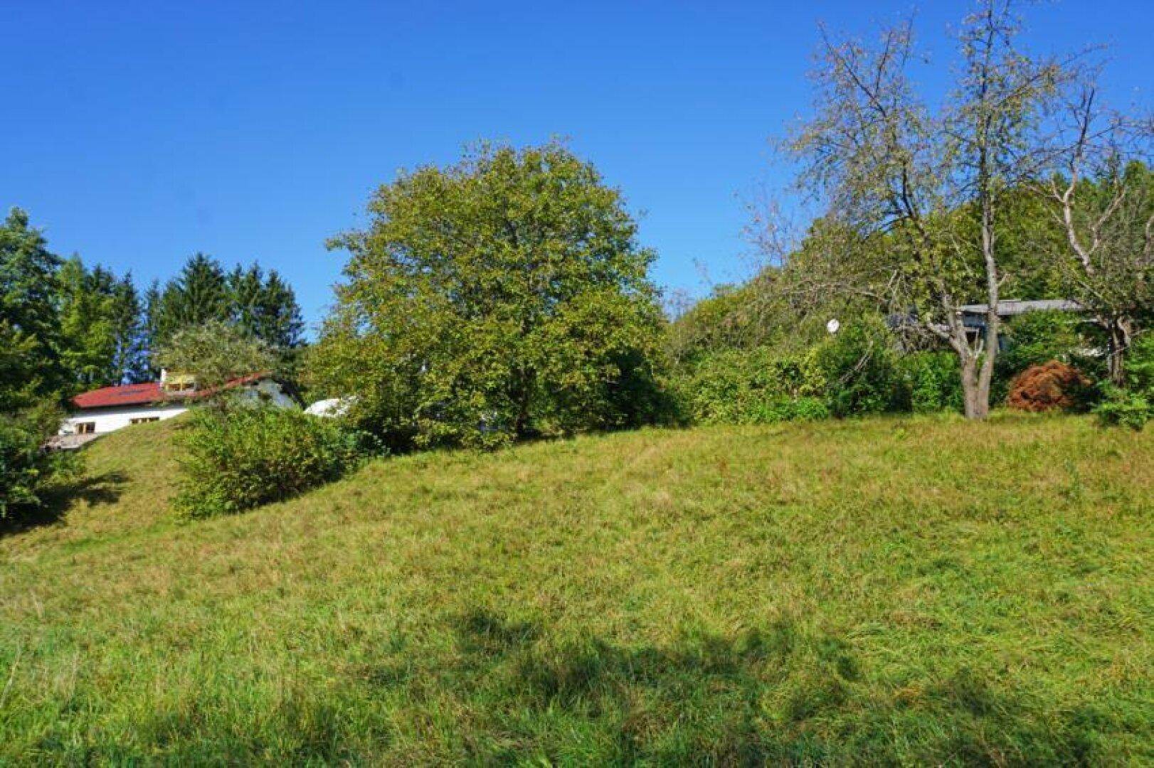 Baugrundstück auf Südhang in traumhafter Grünruhelage in der Kaiserbrunn – pohled 4
