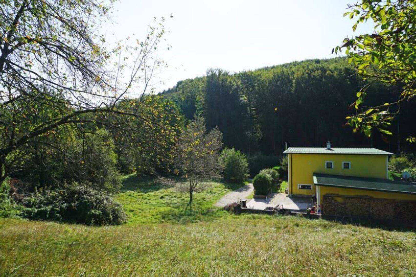 Gelbes Haus mit Nebengebäude, Zufahrt und umgebendem Wald unter hellem Himmel.