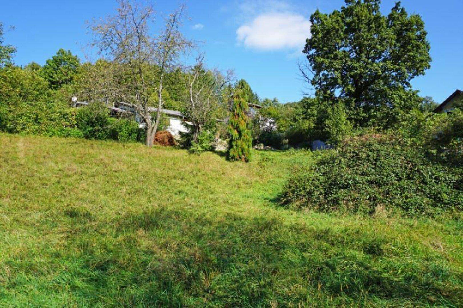 Baugrundstück auf Südhang in traumhafter Grünruhelage in der Kaiserbrunn – pohled 3