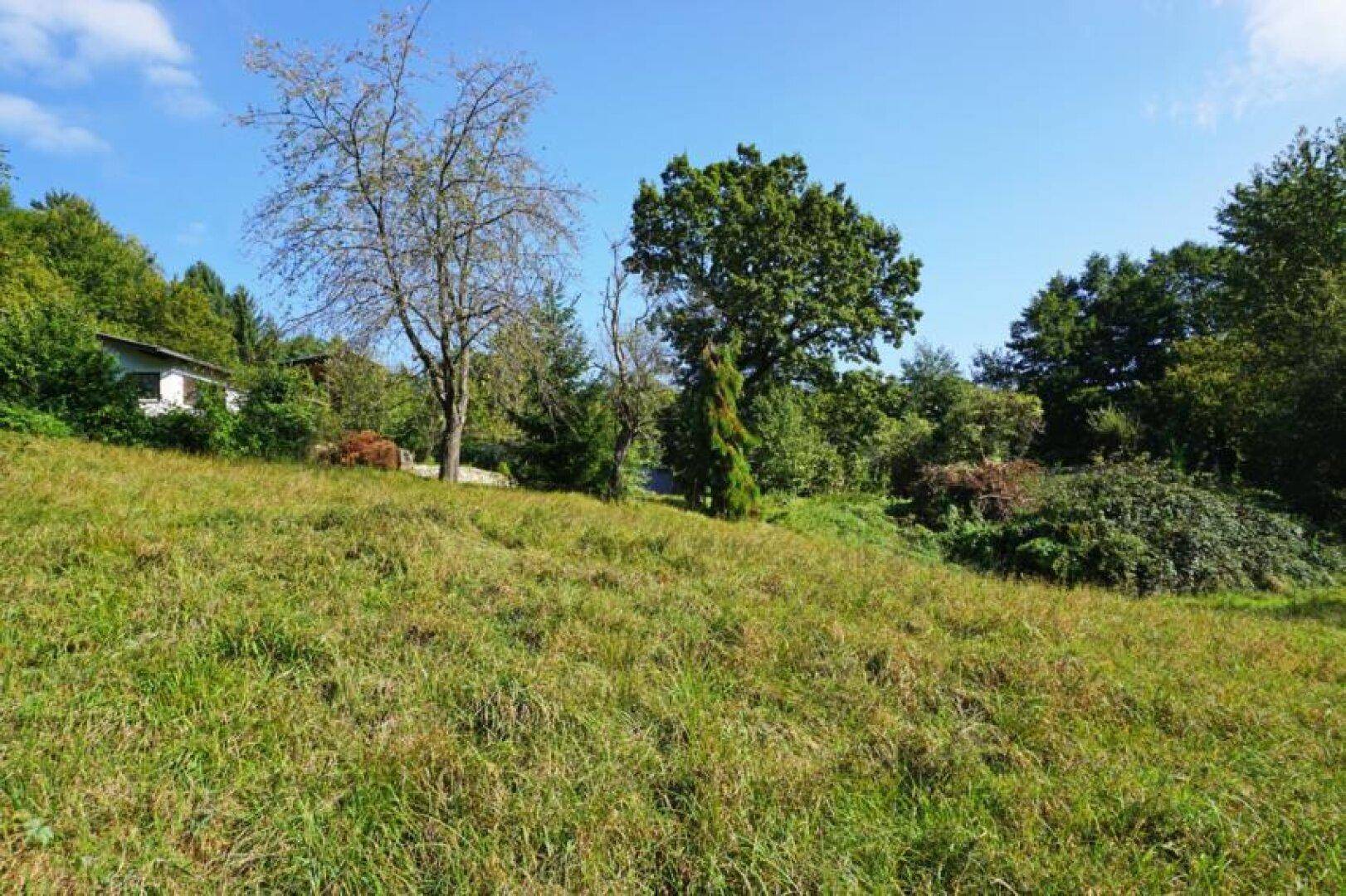 Baugrundstück auf Südhang in traumhafter Grünruhelage in der Kaiserbrunn – pohled 6