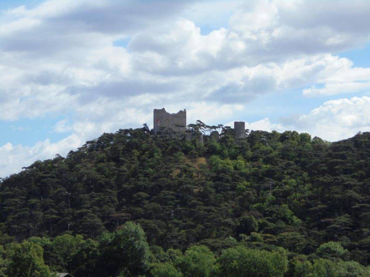 Burgruine Mödling