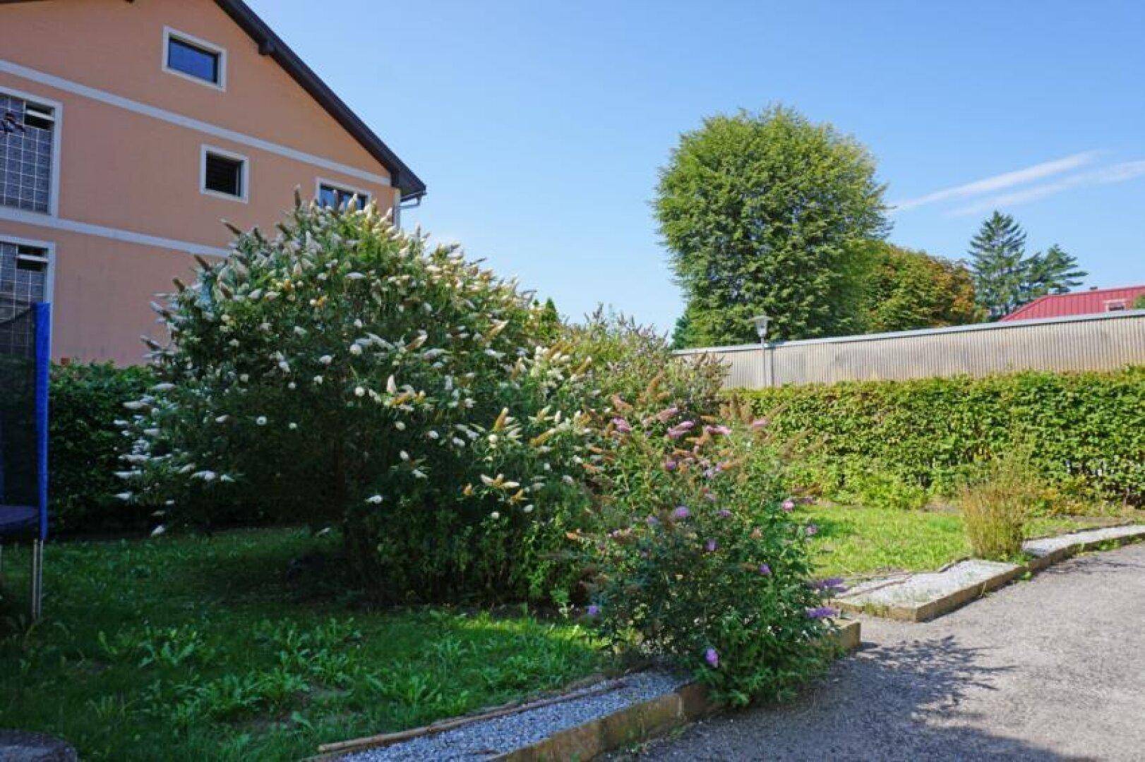 Gepflegter Gartenbereich mit blühenden Sträuchern und Rasenfläche neben dem Gebäude.