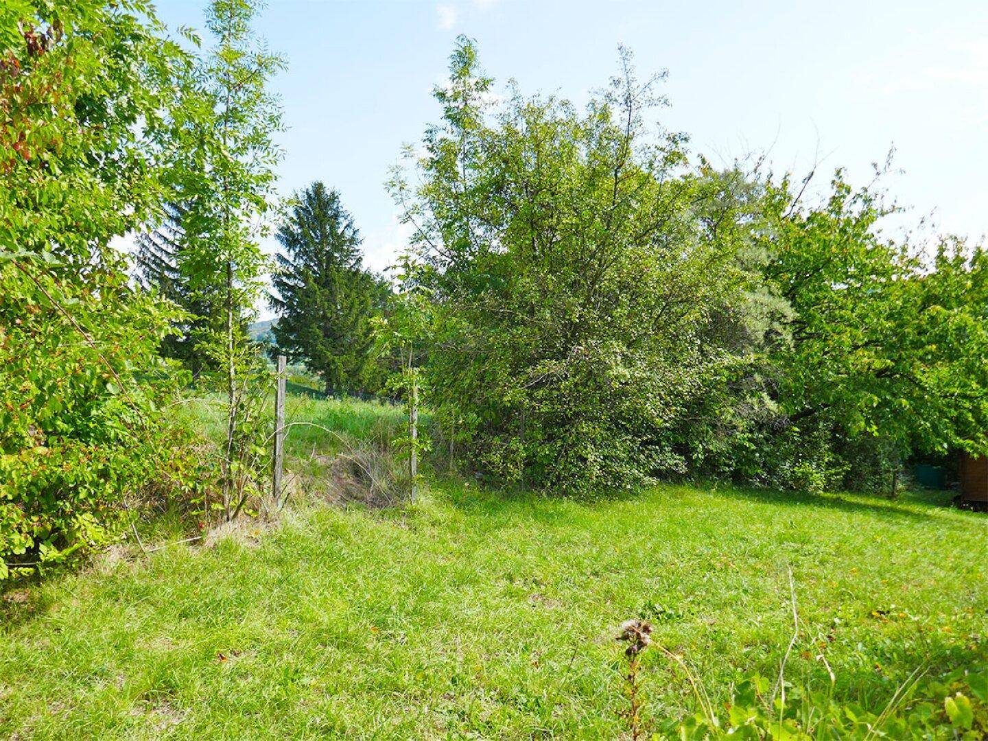 Naturbelassener Gartenbereich mit üppiger Vegetation, hohen Bäumen und weitem Blick ins Grüne.