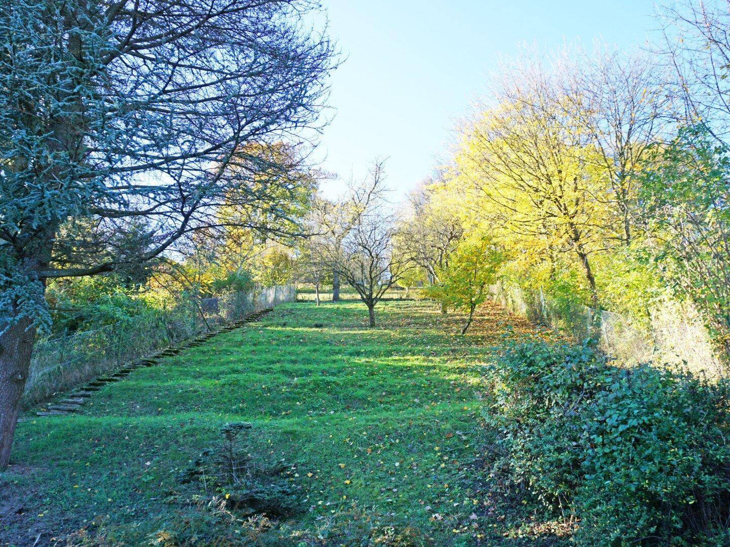 Ausblick von der Terrasse auf den oberen Garten