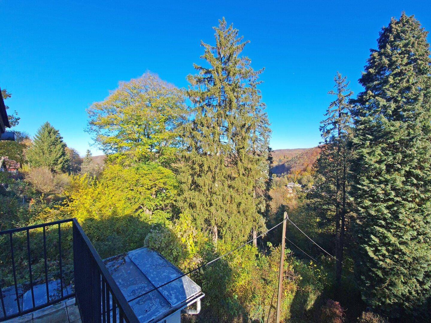 Ausblick Balkon Richtung Allerheiligenberg