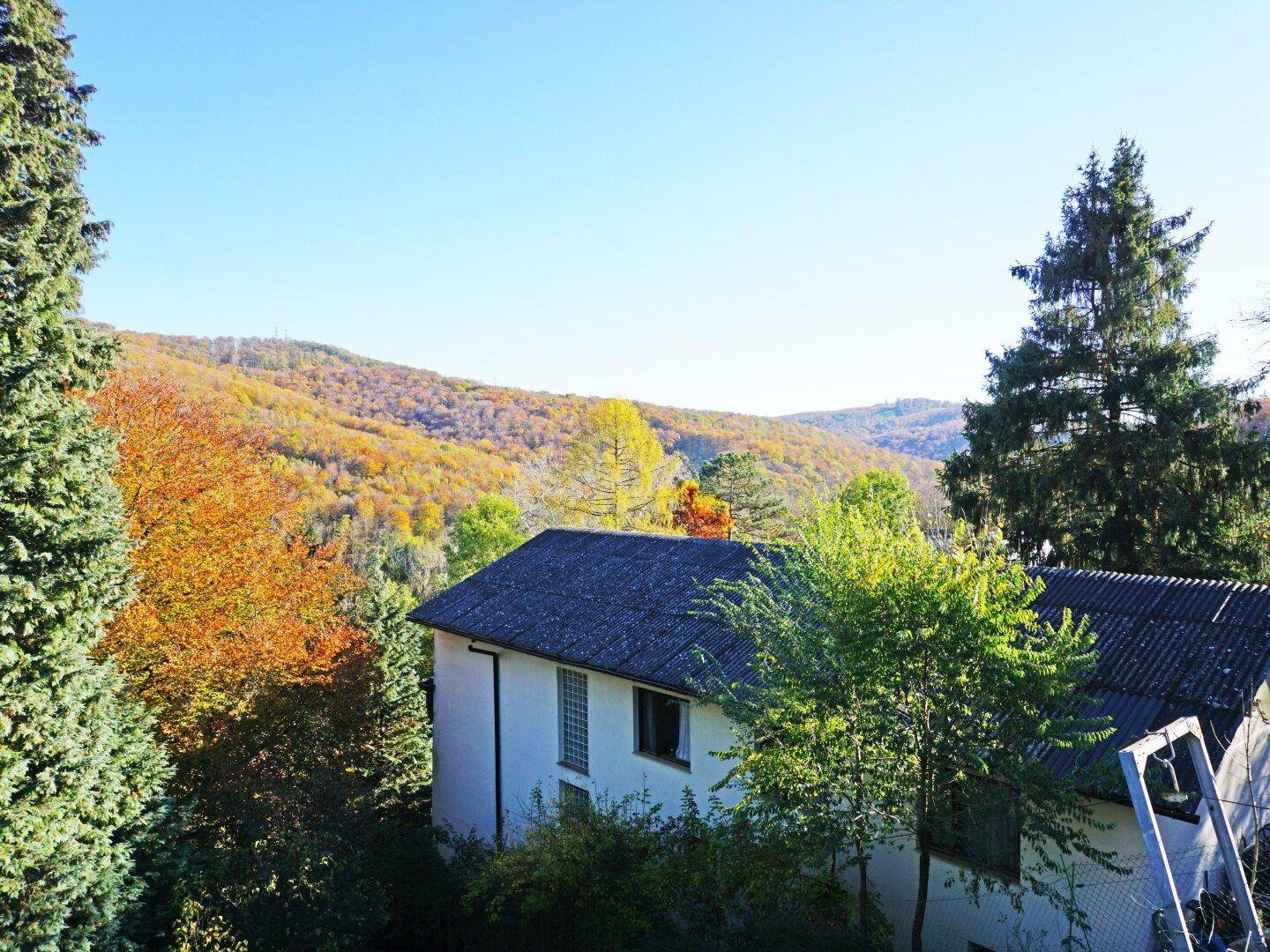 Ausblick vom Balkon Richtung Hainbach