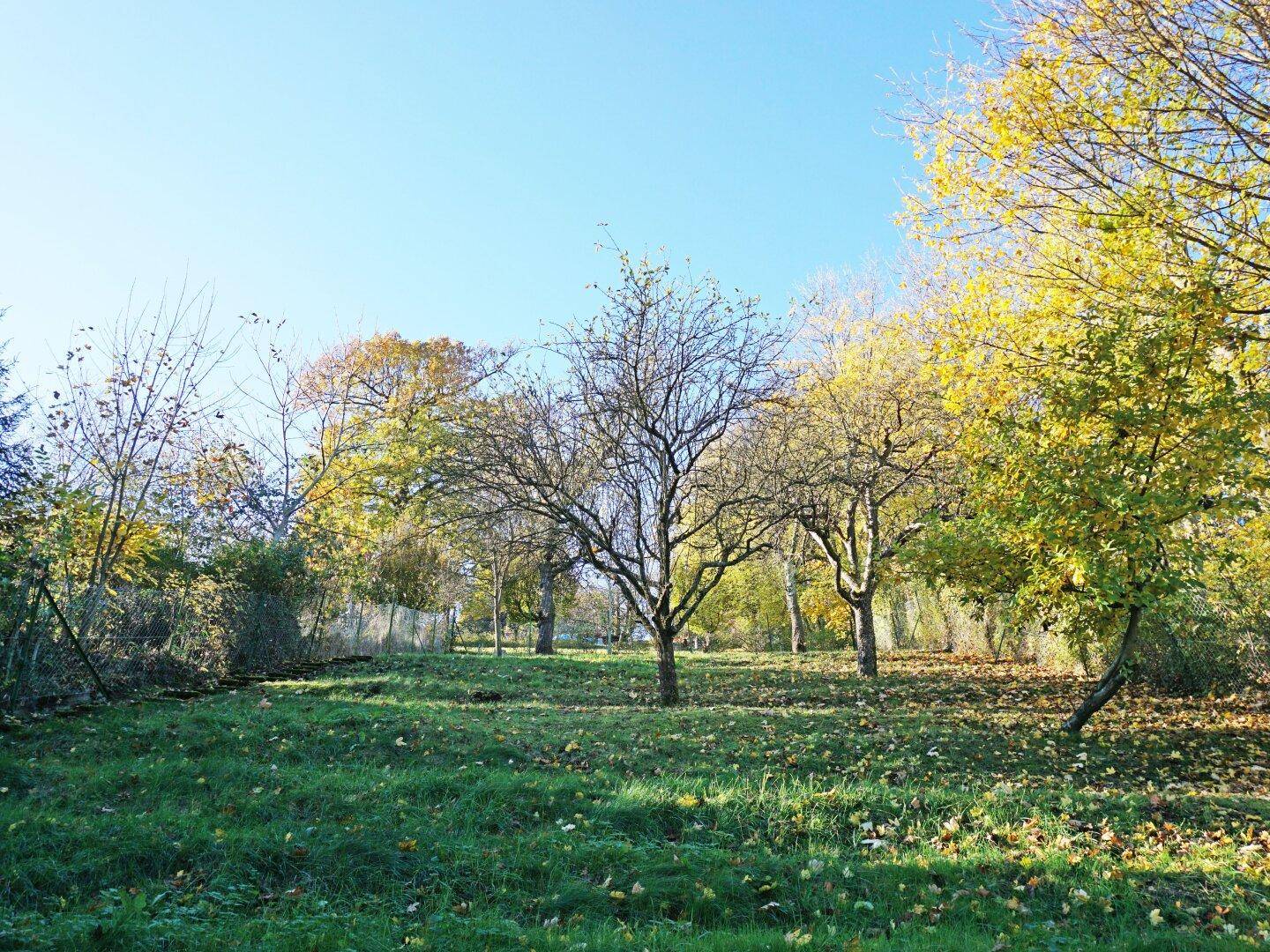 Garten vom Haus bergauf nach Südwesten