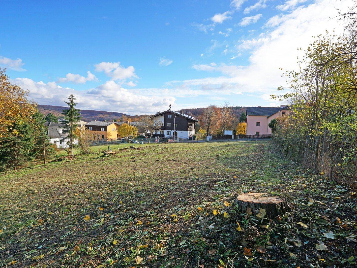 Weitläufiges Wiesengrundstück mit Blick auf das charmante Haus und weitere Gebäude in der Ferne.