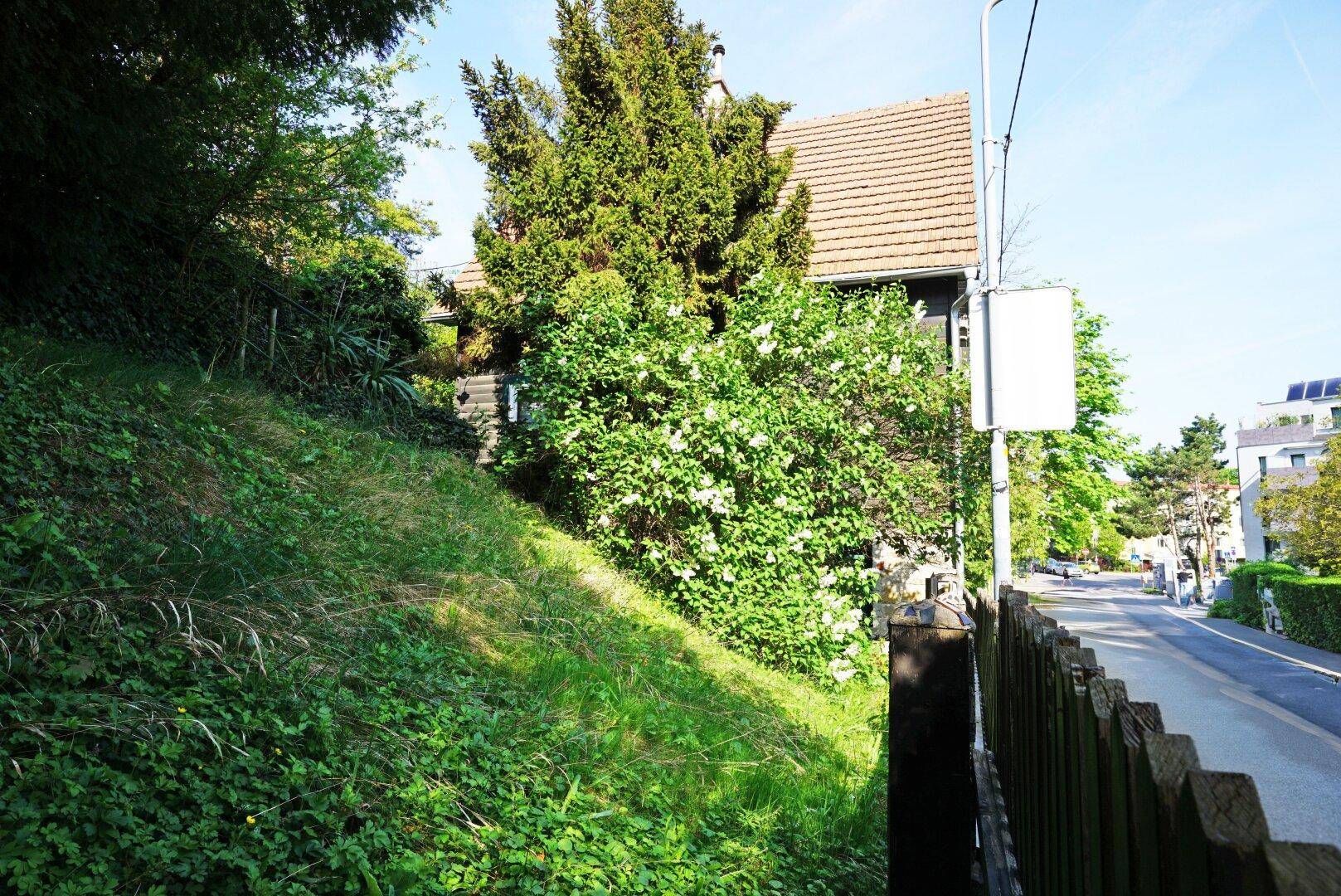 Hausansicht mit grüner Böschung im Vordergrund und blühenden Sträuchern am Zaun.