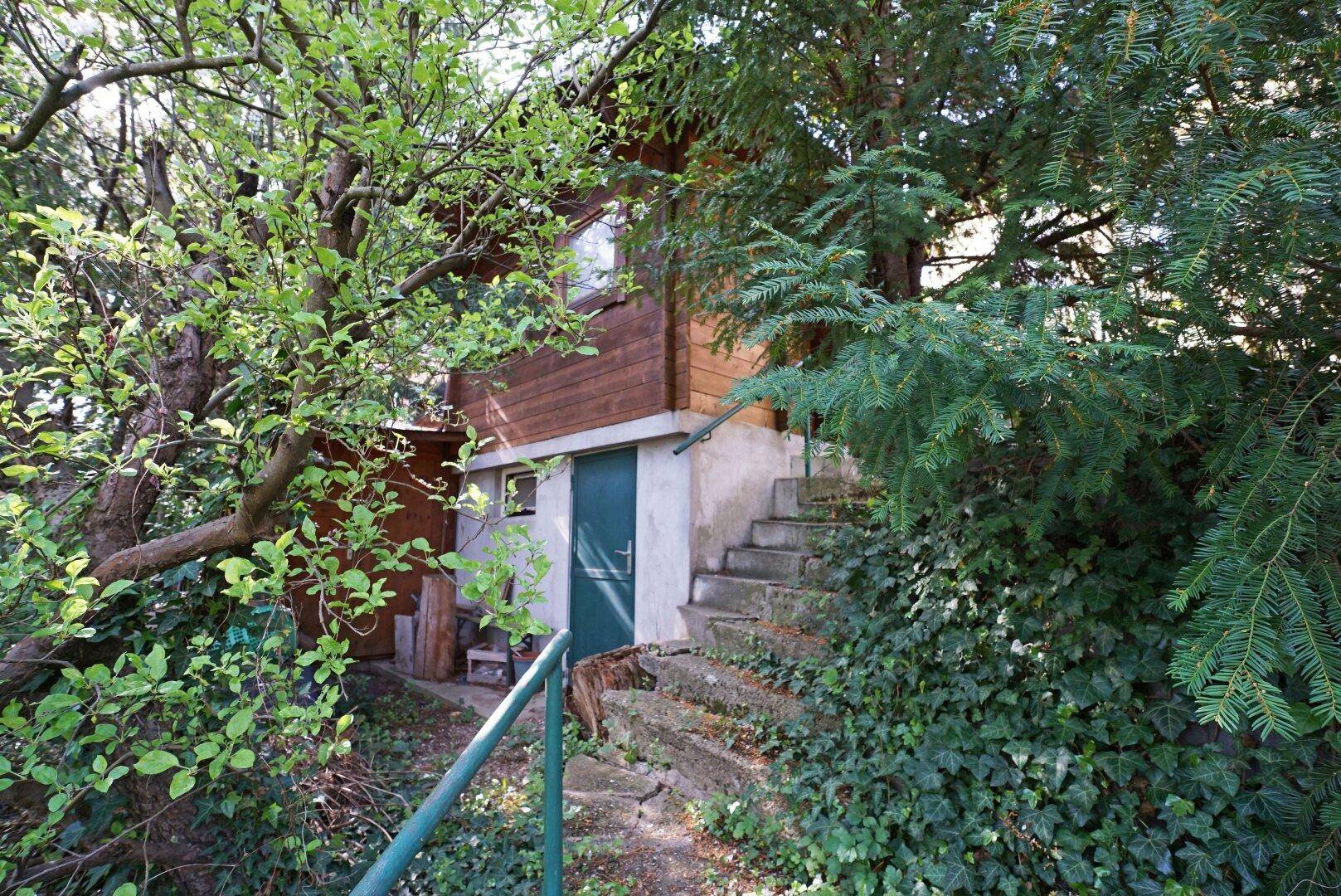 Kleines Holzgebäude mit Außentreppe, umgeben von dichtem Grün und Bäumen auf dem Grundstück.
