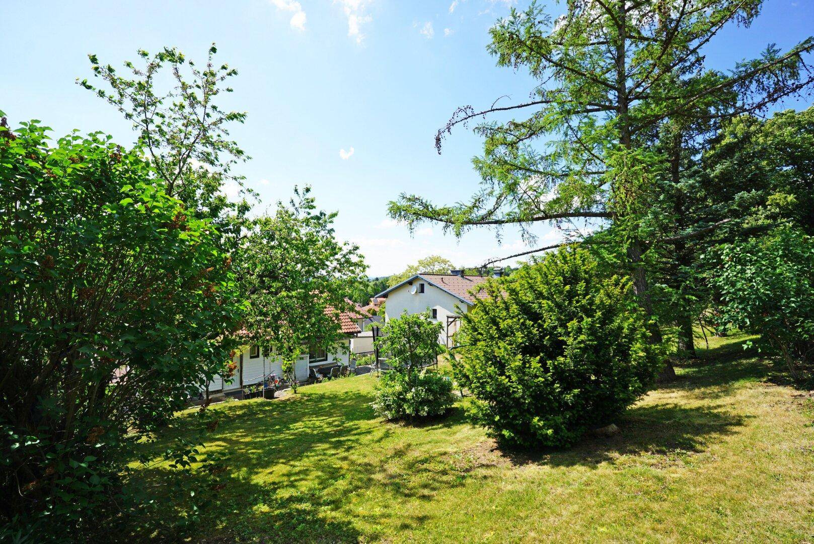 Blick über den Garten von der östlichsten Grundgrenze