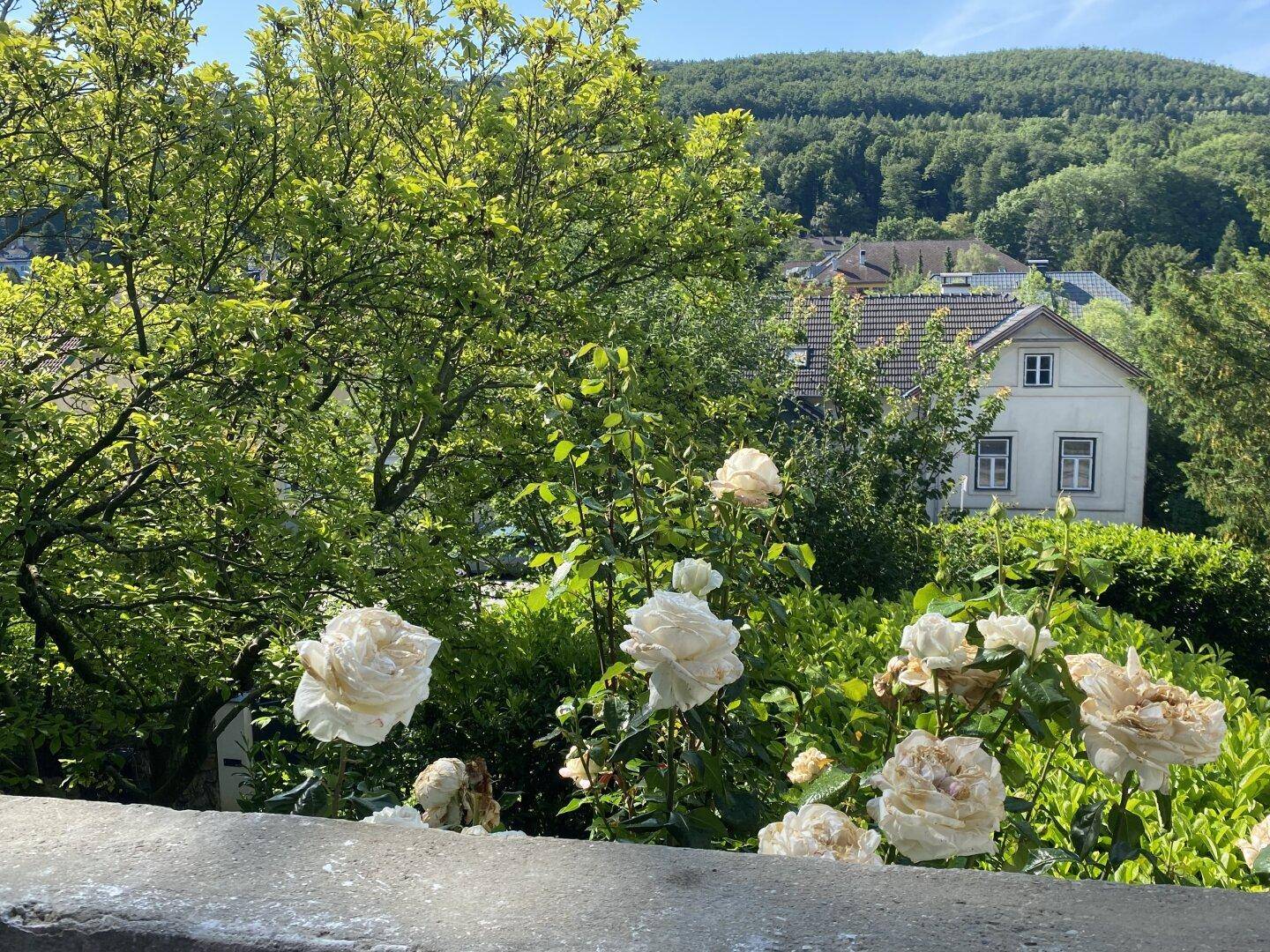 Ausblick Veranda Richtung Süden