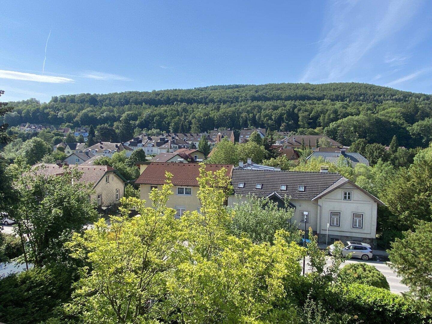 Ausblick vom Dachgeschoß nach Süden