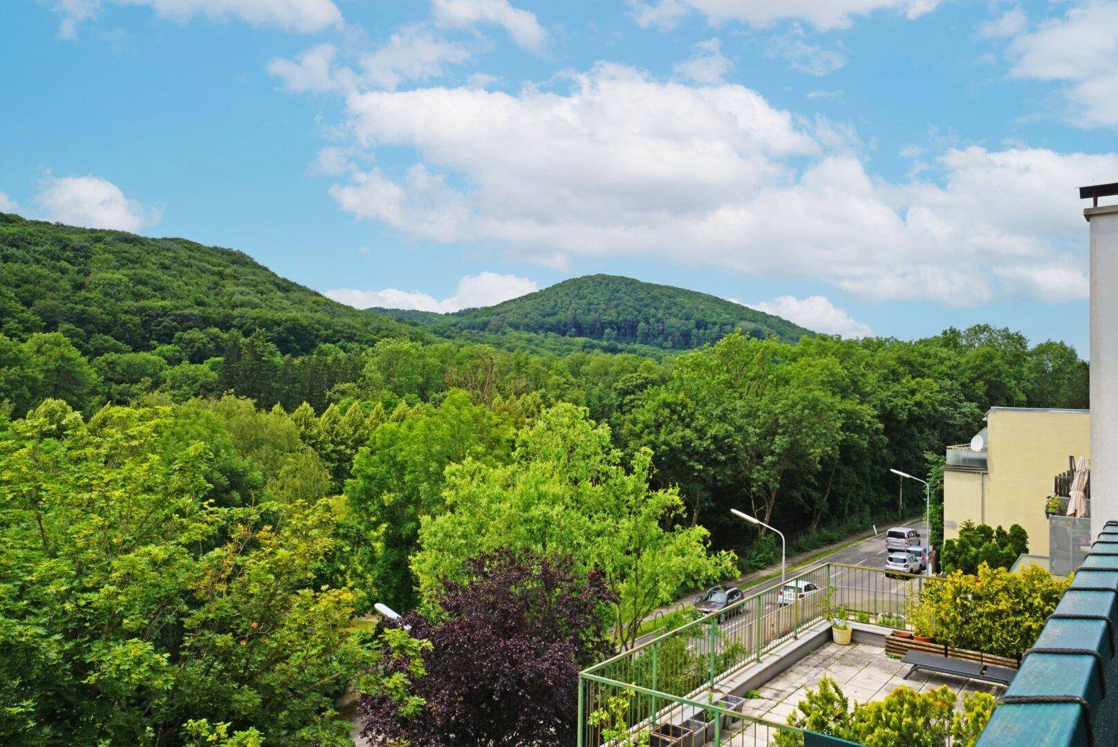 Blick vom Balkon auf grüne Hügel und eine ruhige Straße mit üppiger Vegetation.