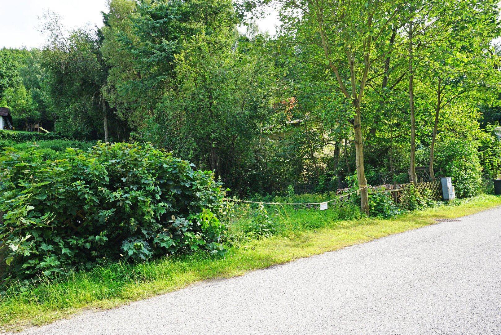 Grundstücksgrenze entlang einer ländlichen Straße mit Hecke und Zaun.