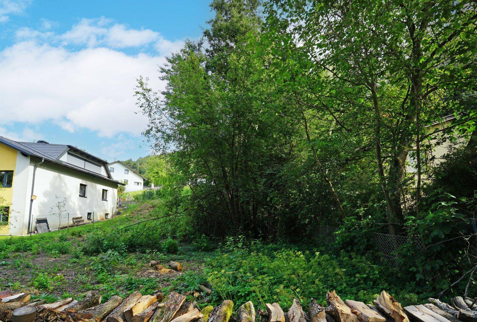 Blick auf das naturnahe Grundstück mit Hanglage und Holzstämmen im Vordergrund.