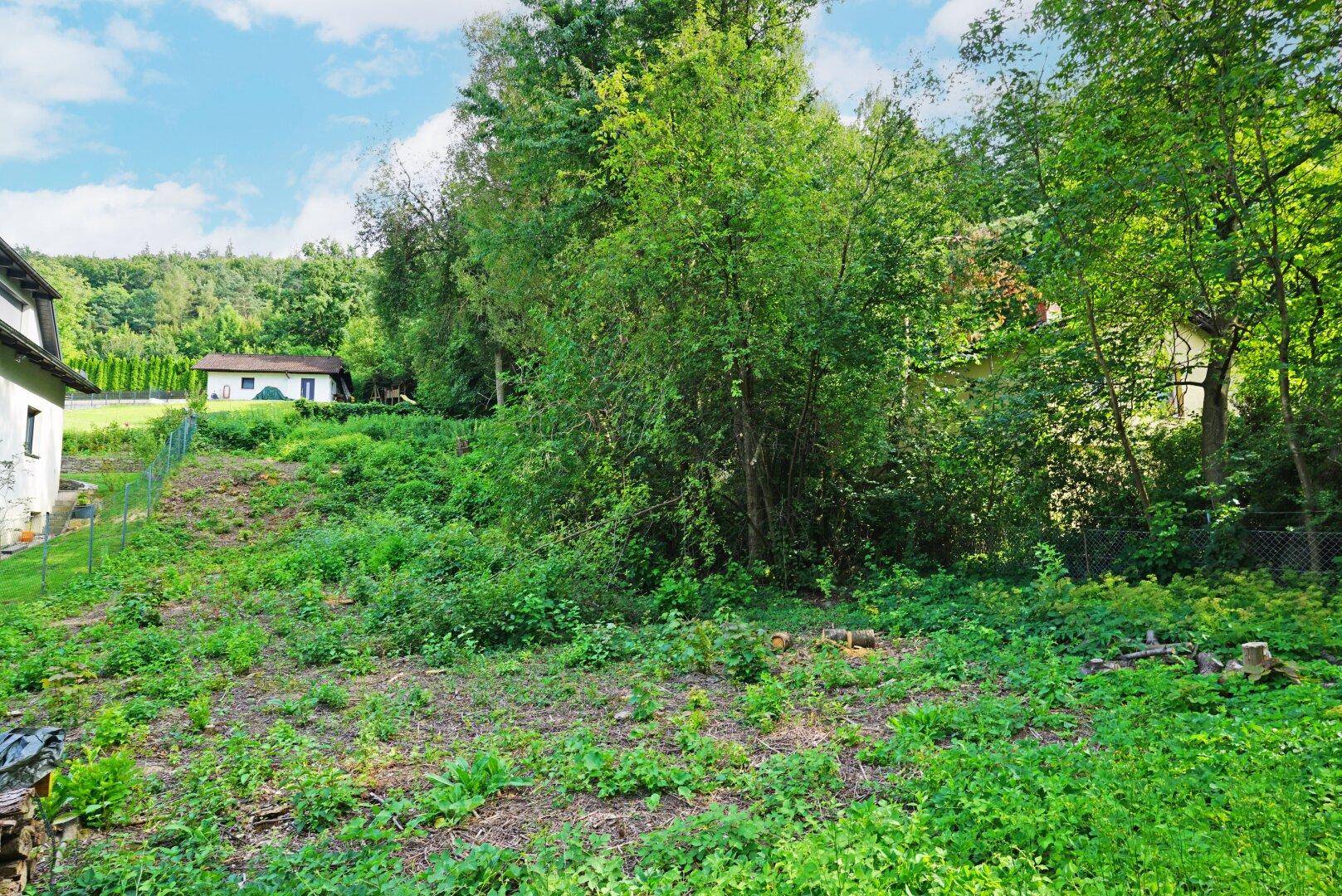 Großes Grundstück mit Hanglage und viel Grün, umgeben von Bäumen und Natur.