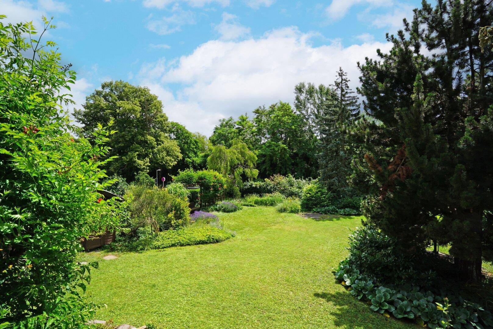 Blick von der Terrasse in den Garten