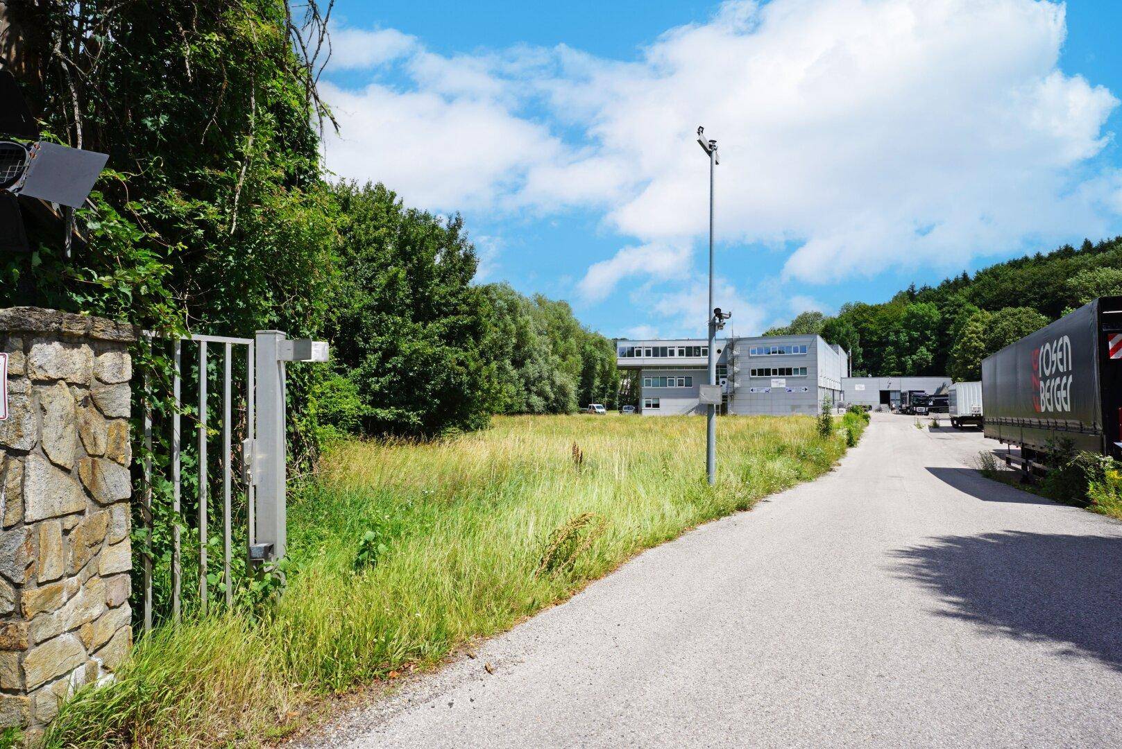 Zufahrt zu einem Gewerbegebiet mit einem großen, ungenutzten Grundstück und umgebender Natur.