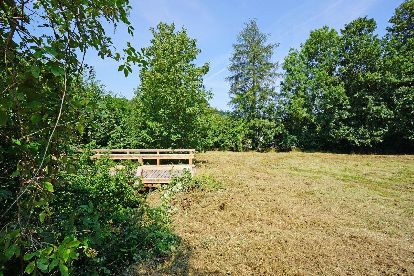 Weitläufige Grünfläche mit einem kleinen Holzsteg, umgeben von üppiger Vegetation.