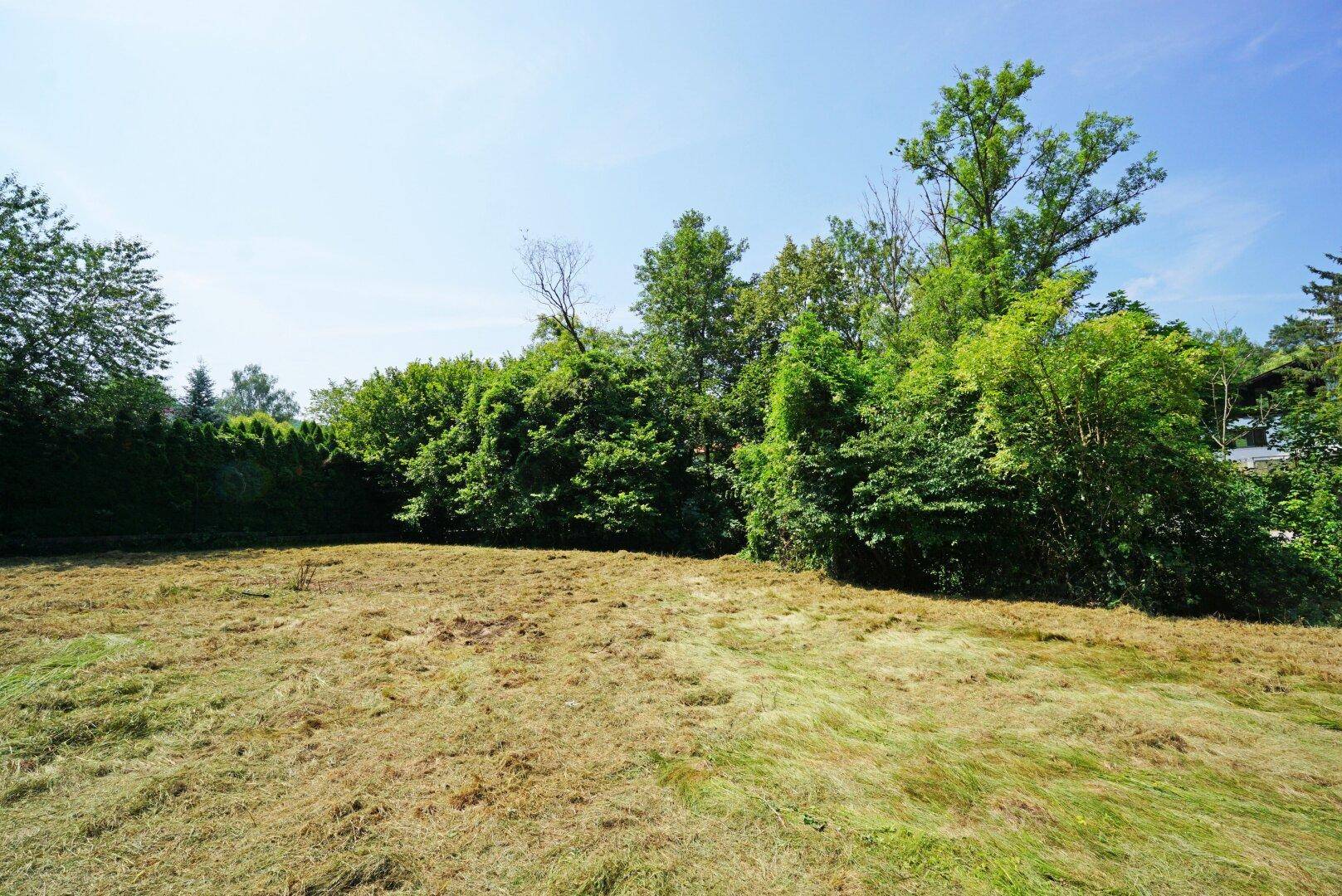 Große, offene Grünfläche mit gemähtem Gras, umgeben von Bäumen und einer Hecke.