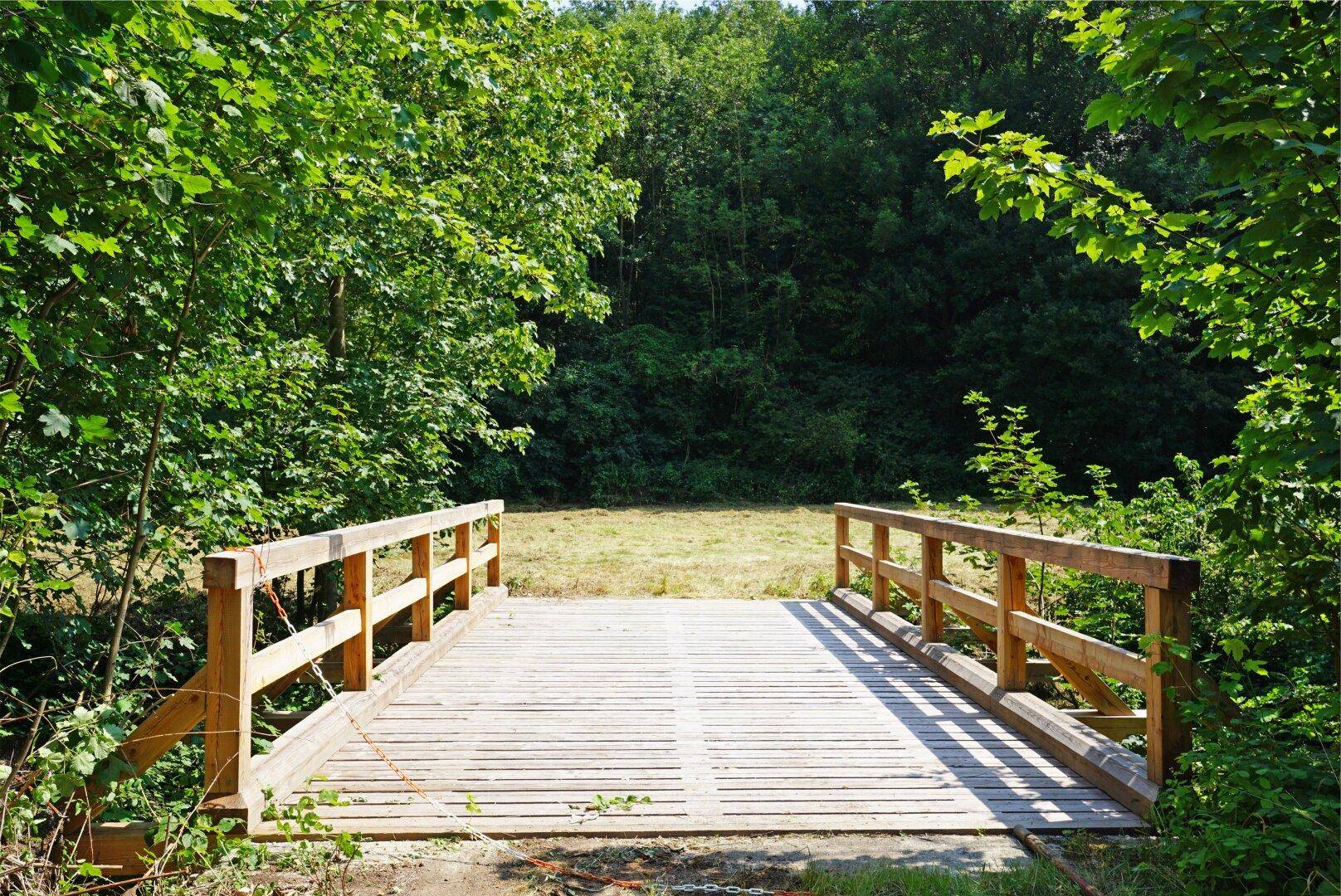 Eine rustikale Holzbrücke führt über einen Bach in einen dichten, grünen Wald.