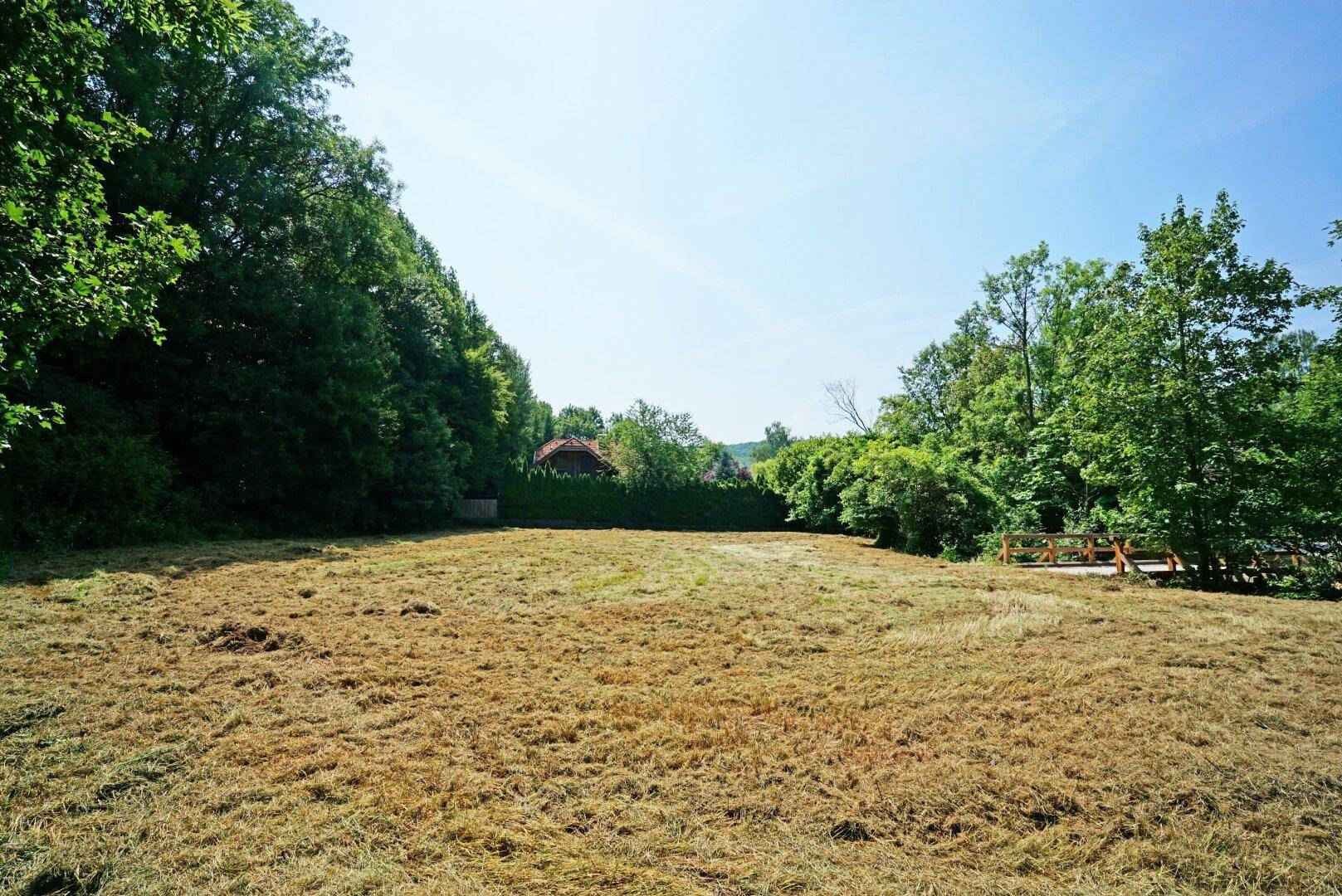 Großes, offenes Grundstück mit gemähter Wiese, umgeben von Bäumen und einem Haus im Hintergrund.