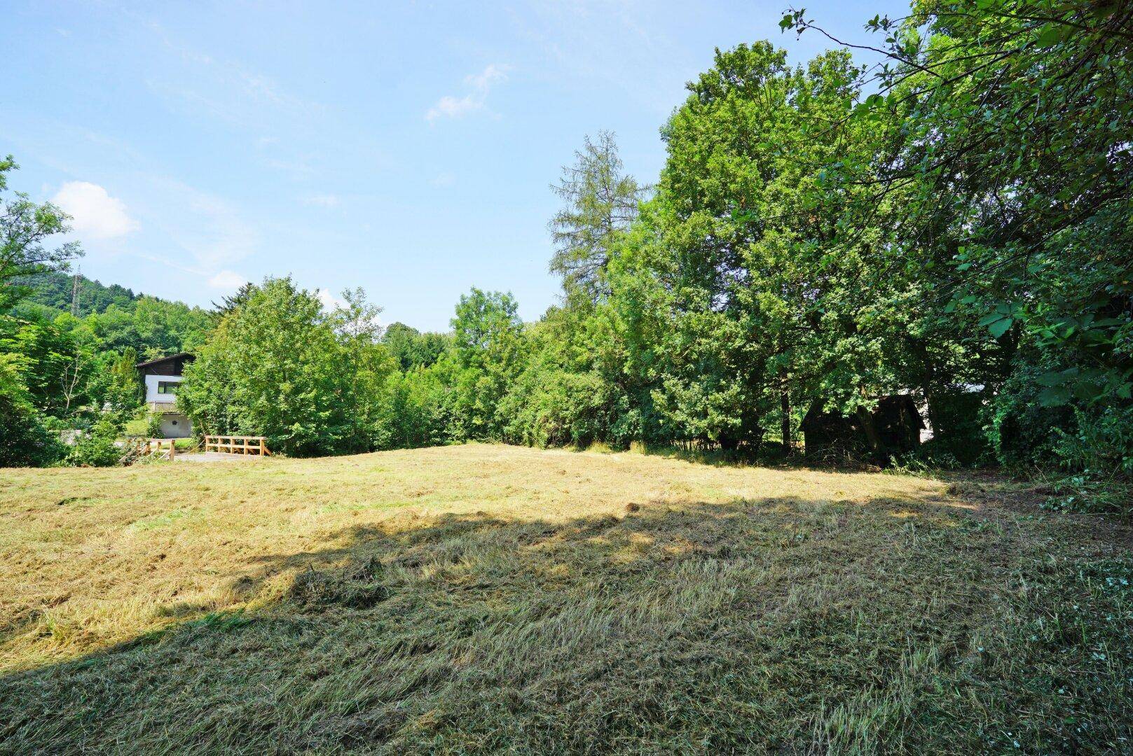 Weitläufige Wiesenfläche mit umgebendem Wald und einem Gebäude in der Ferne unter hellem Himmel.