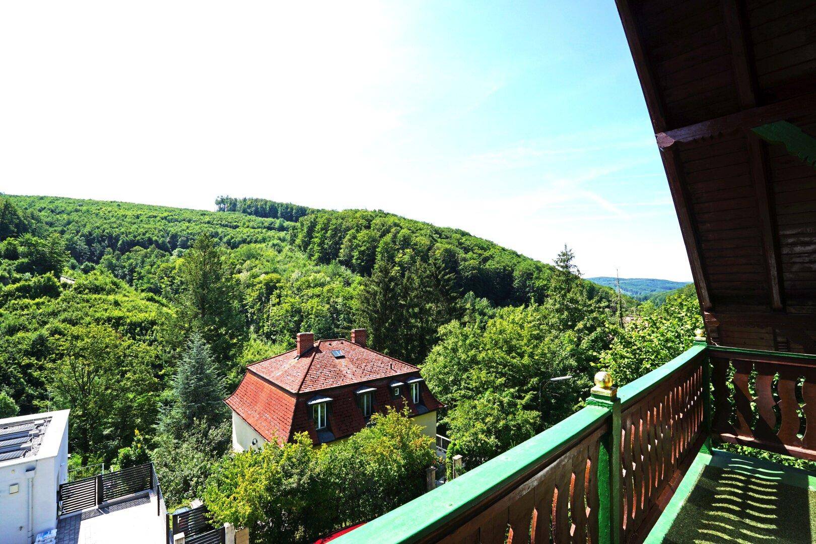 Balkon-Ausblick