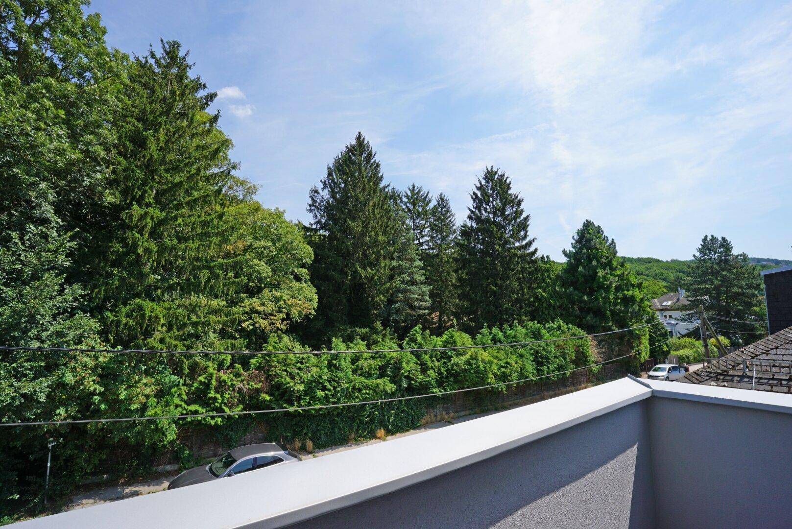 Balkonausblick in den Wald