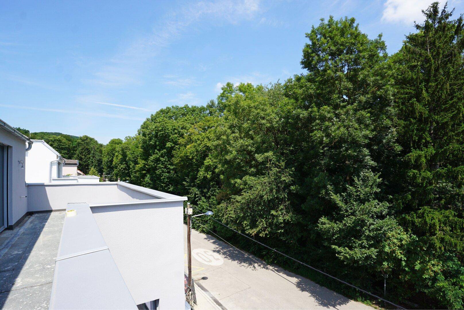 Ausblick Dachterrasse