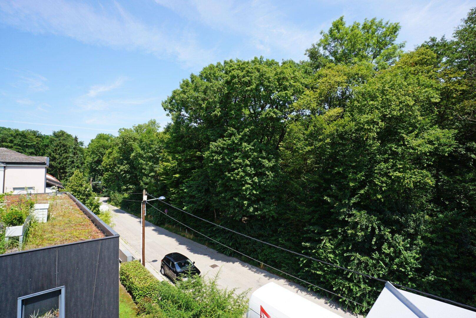 Ausblick nach Norden in den Wienerwald