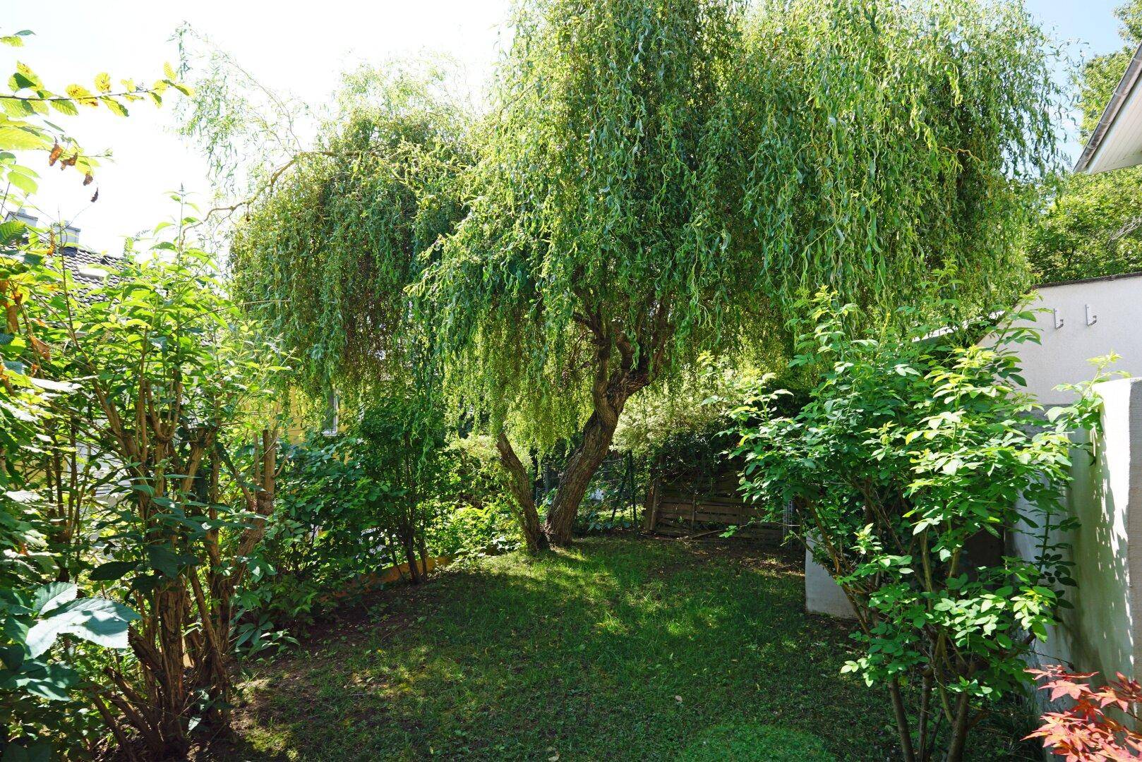 Südgarten