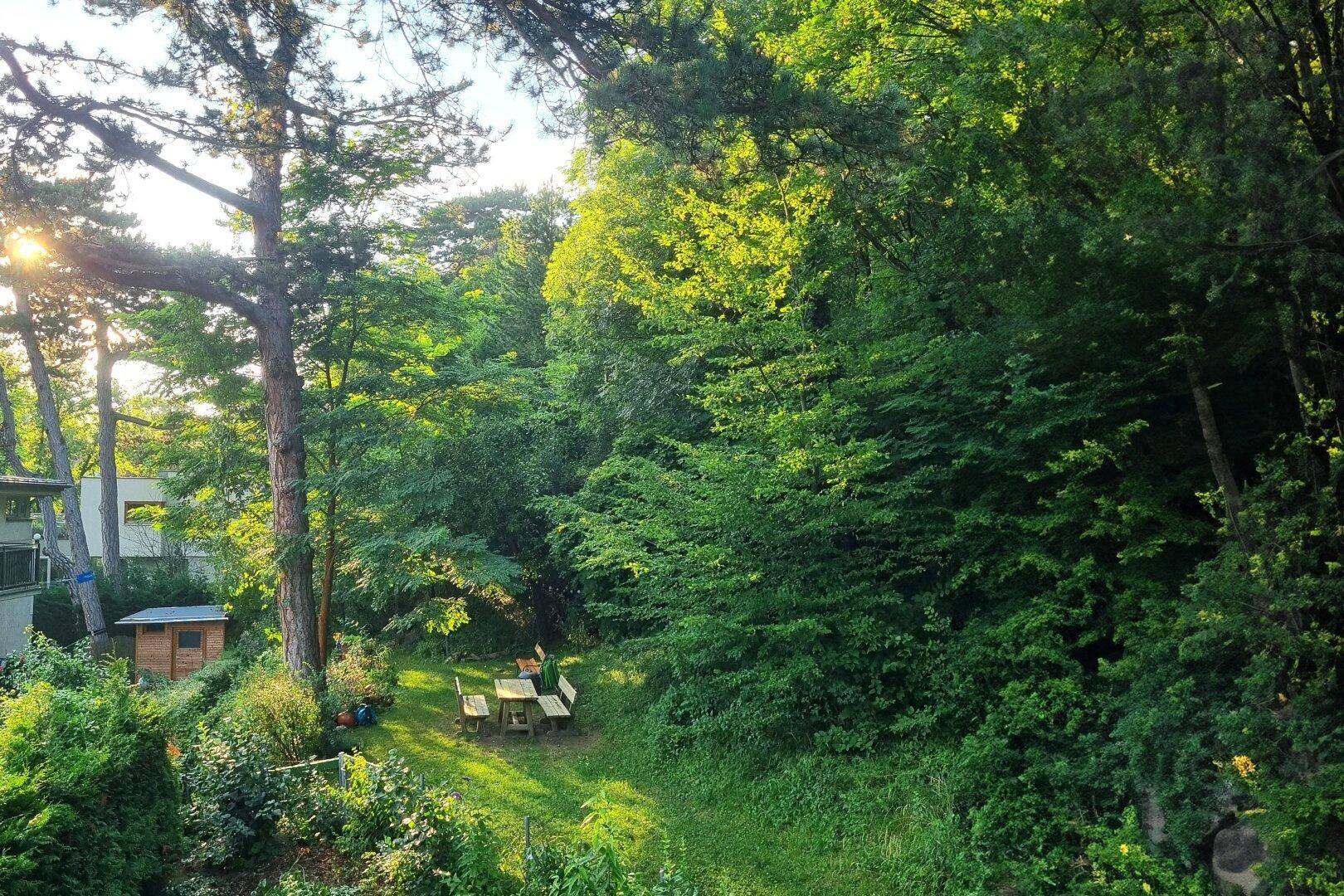 Ausblick Terrasse in Gemeinschaftsgarten