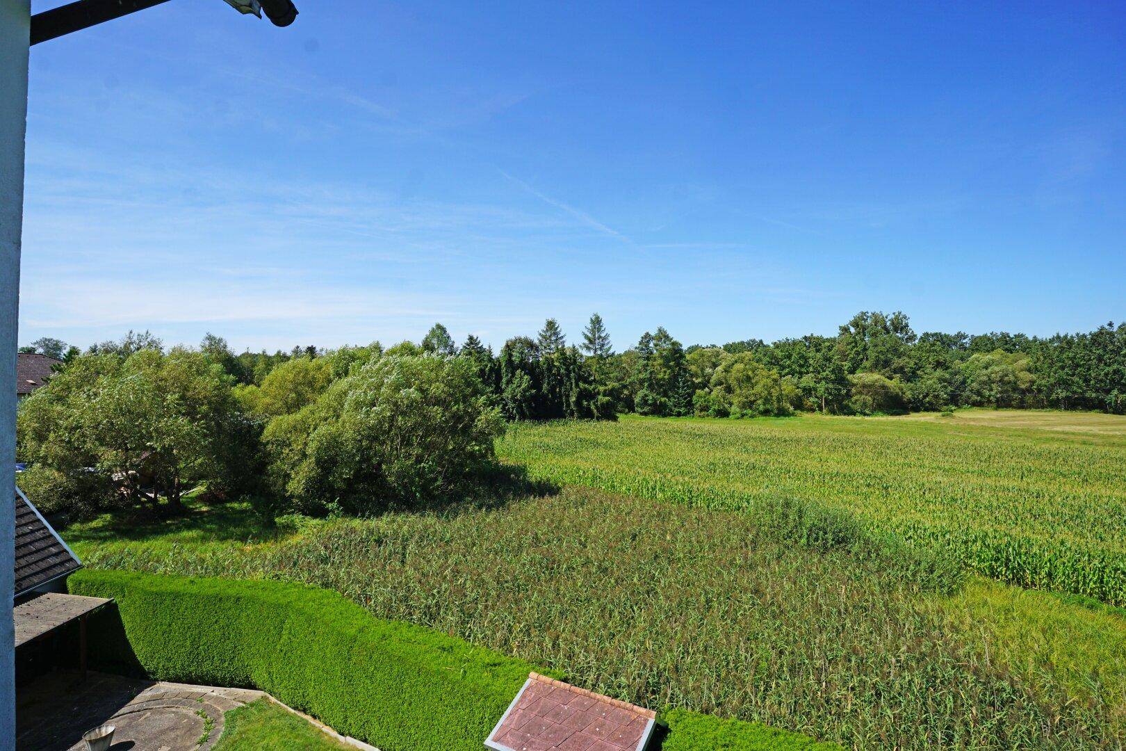 Weitläufiger Blick über grüne Felder und Wälder unter einem klaren blauen Himmel.