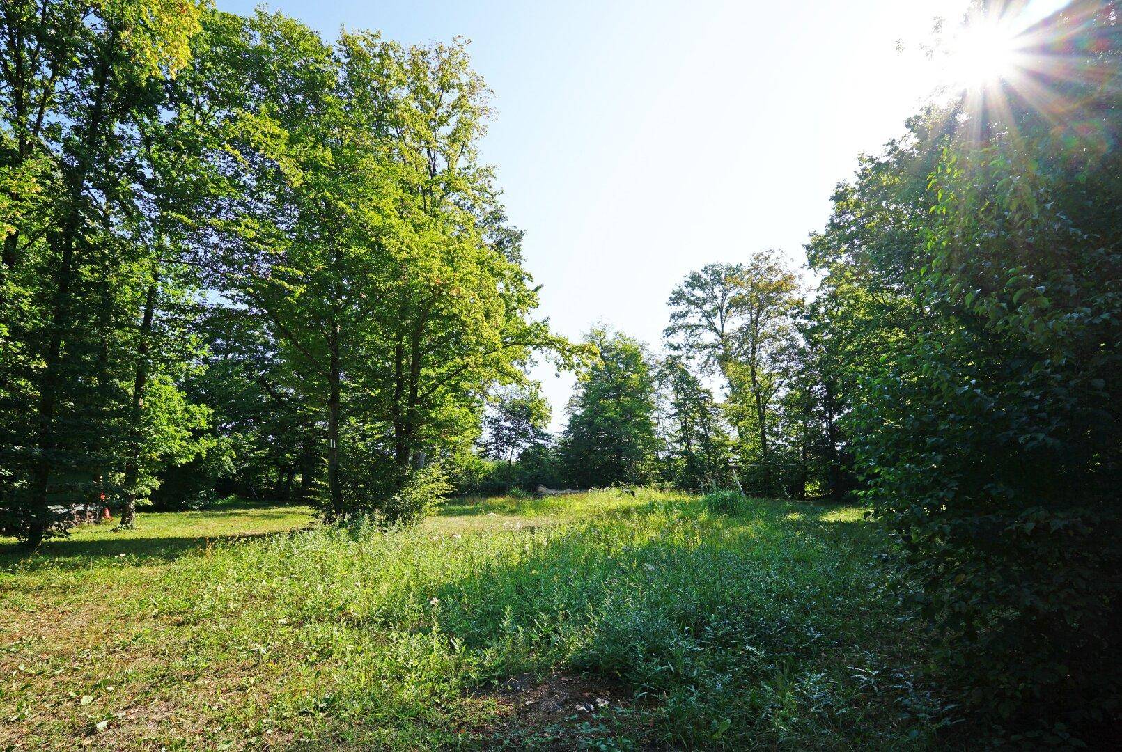 Riesiger Gemeinschaftsgarten mit direktem Ausgang auf eine Wienerwaldwiese