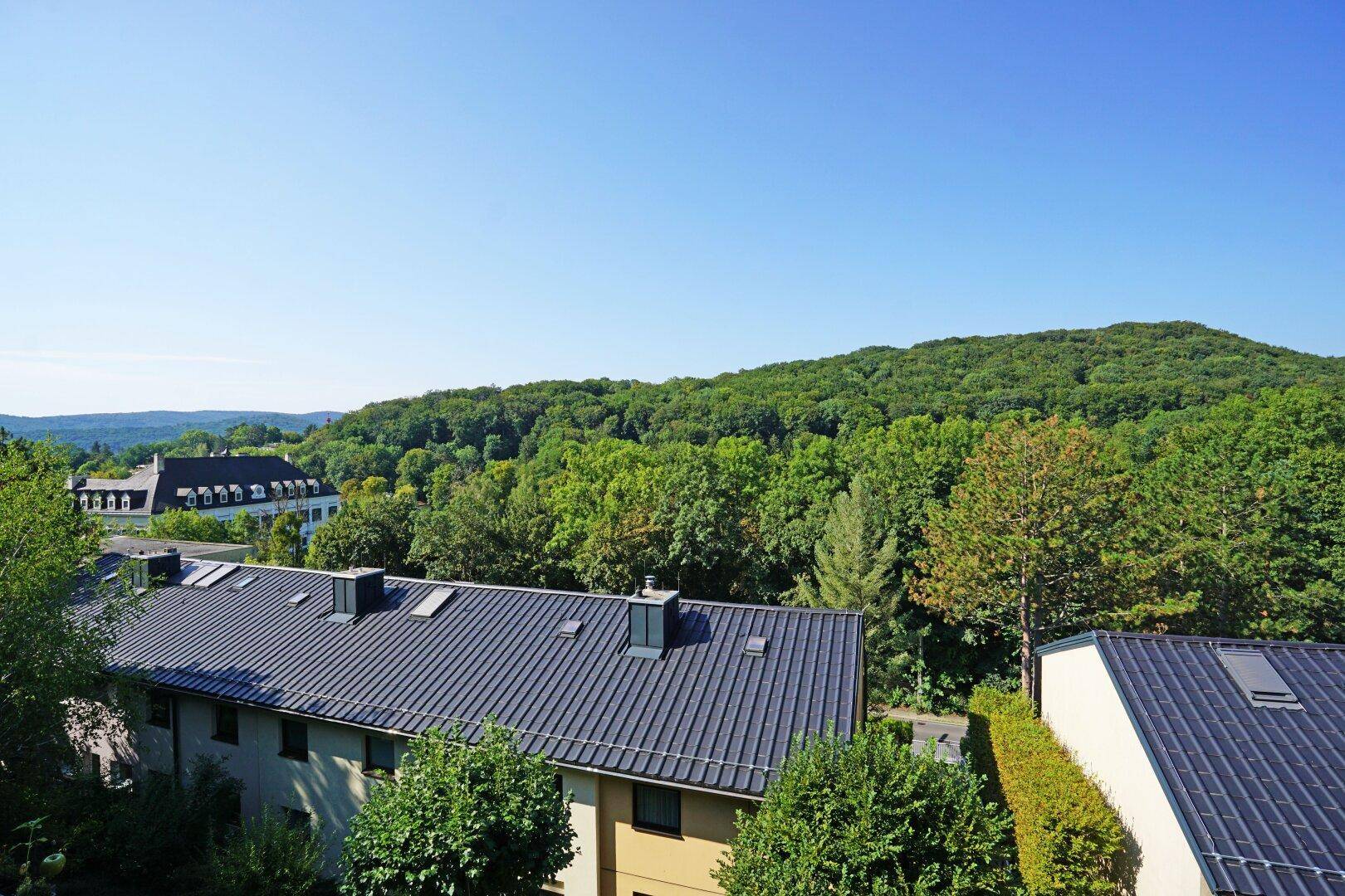 Ausblick Zimmer 3 Richtung Schloss Laudon