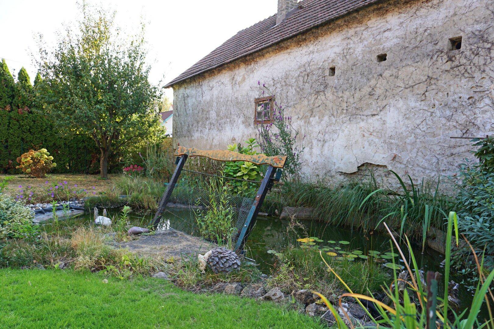 Garten mit Goldfischteich